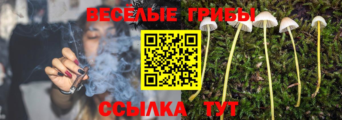 Псилоцибиновые грибы мухоморы Черняховск